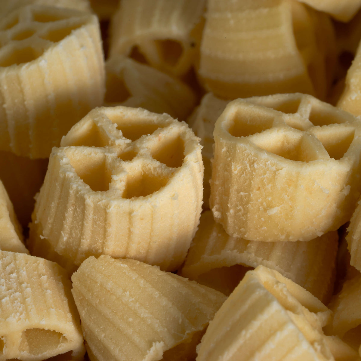ruote medie trafilate al bronzo con pastaio calasse.comaly