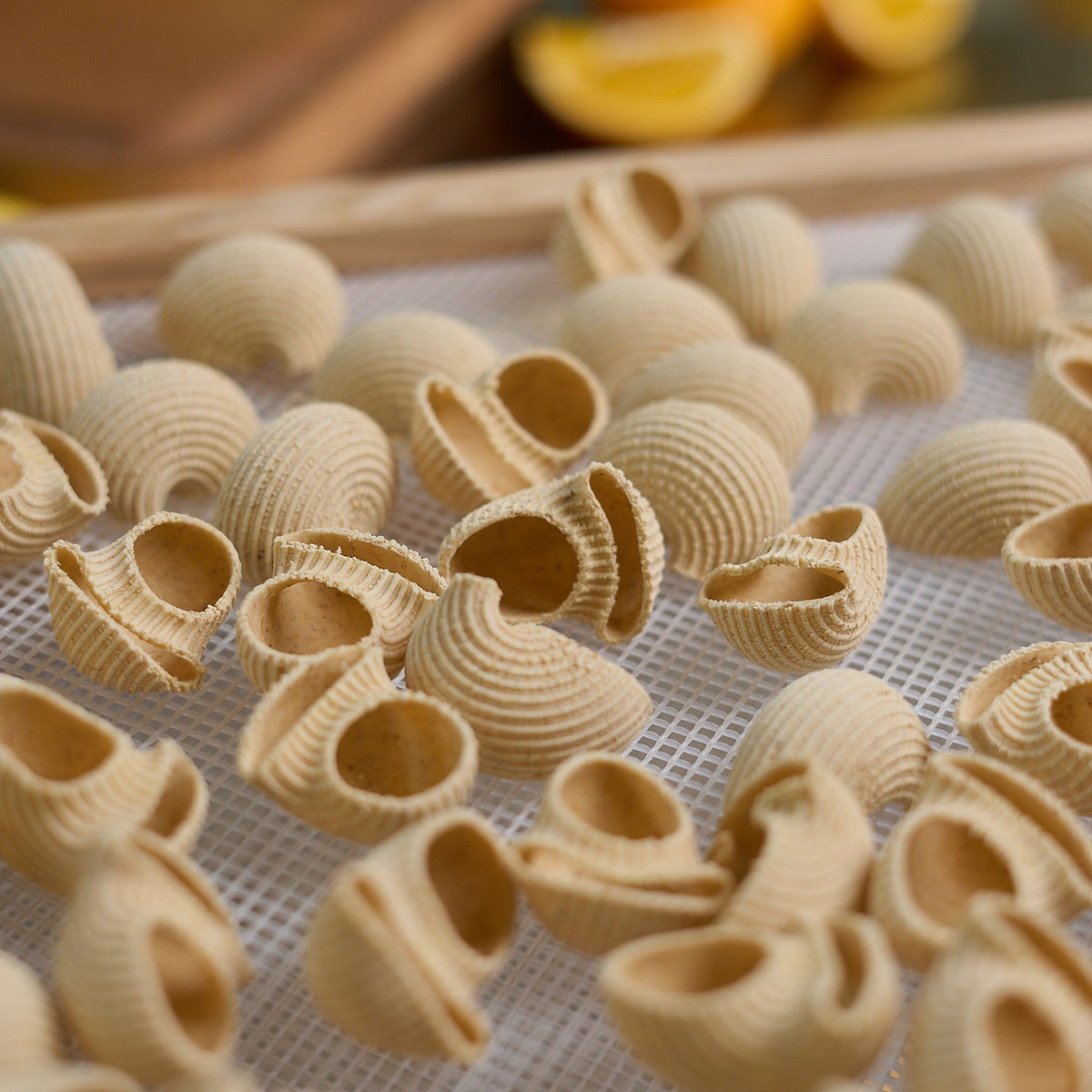 I Canestri Giganti sono un formato di pasta di grandi dimensioni, hanno una forma cilindrica con una scanalatura profonda, che ricorda appunto un "canestro". La superficie esterna è ruvida e le scanalature interne sono ideali per trattenere i sughi e condimenti ricchi. Grazie alla loro grandezza, i canestri giganti sono perfetti per essere farciti con ripieni, come carne, verdure o formaggi, e successivamente gratinati.