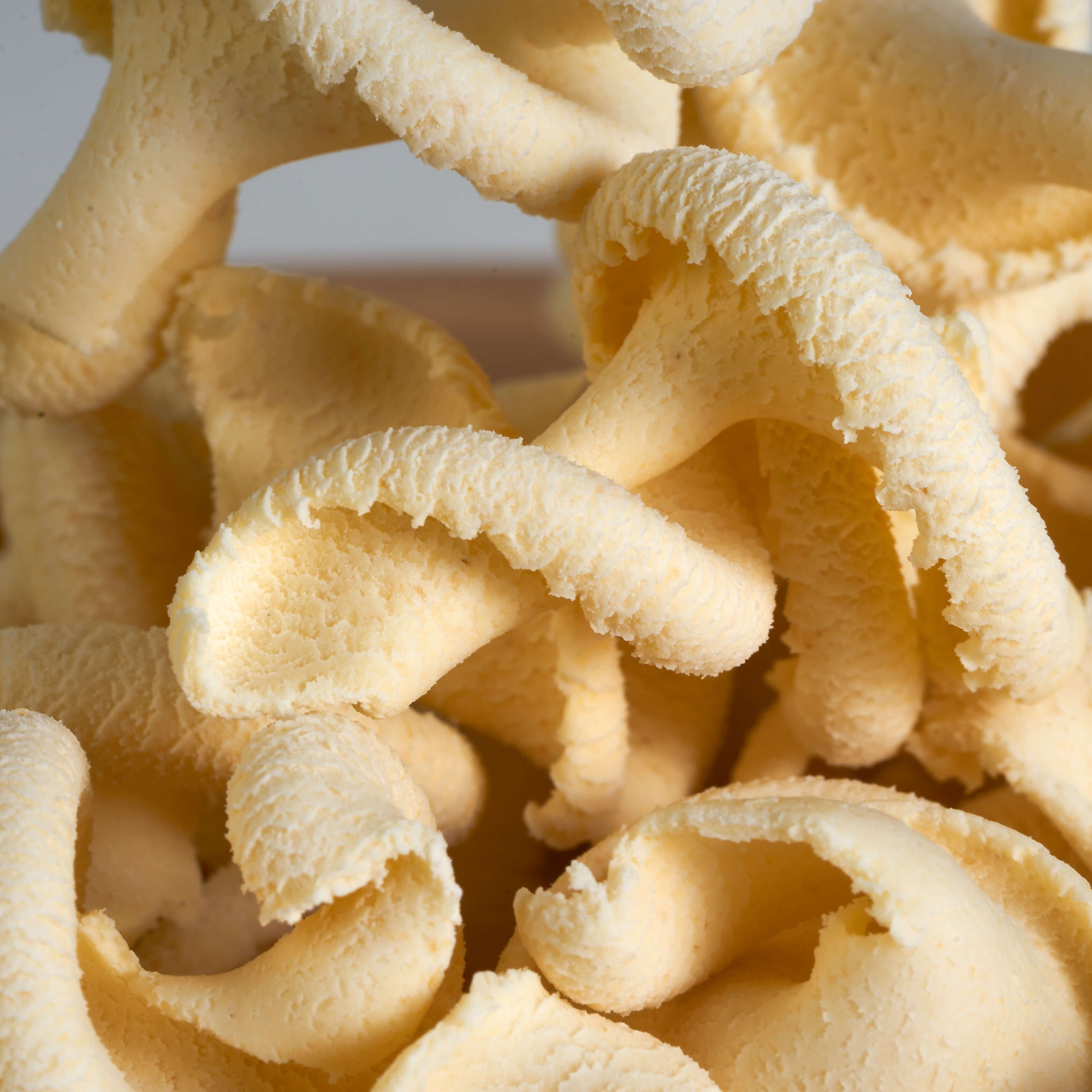 Fungo gigante trafilato al bronzo calasse.comaly